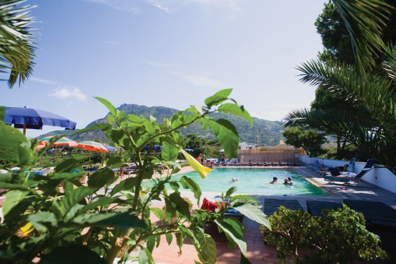 Hotel Al Bosco - mese di Dicembre - Ingresso offerte-Isola d'Ischia
